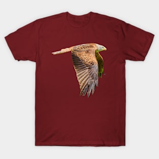 Red Kite in flight T-Shirt